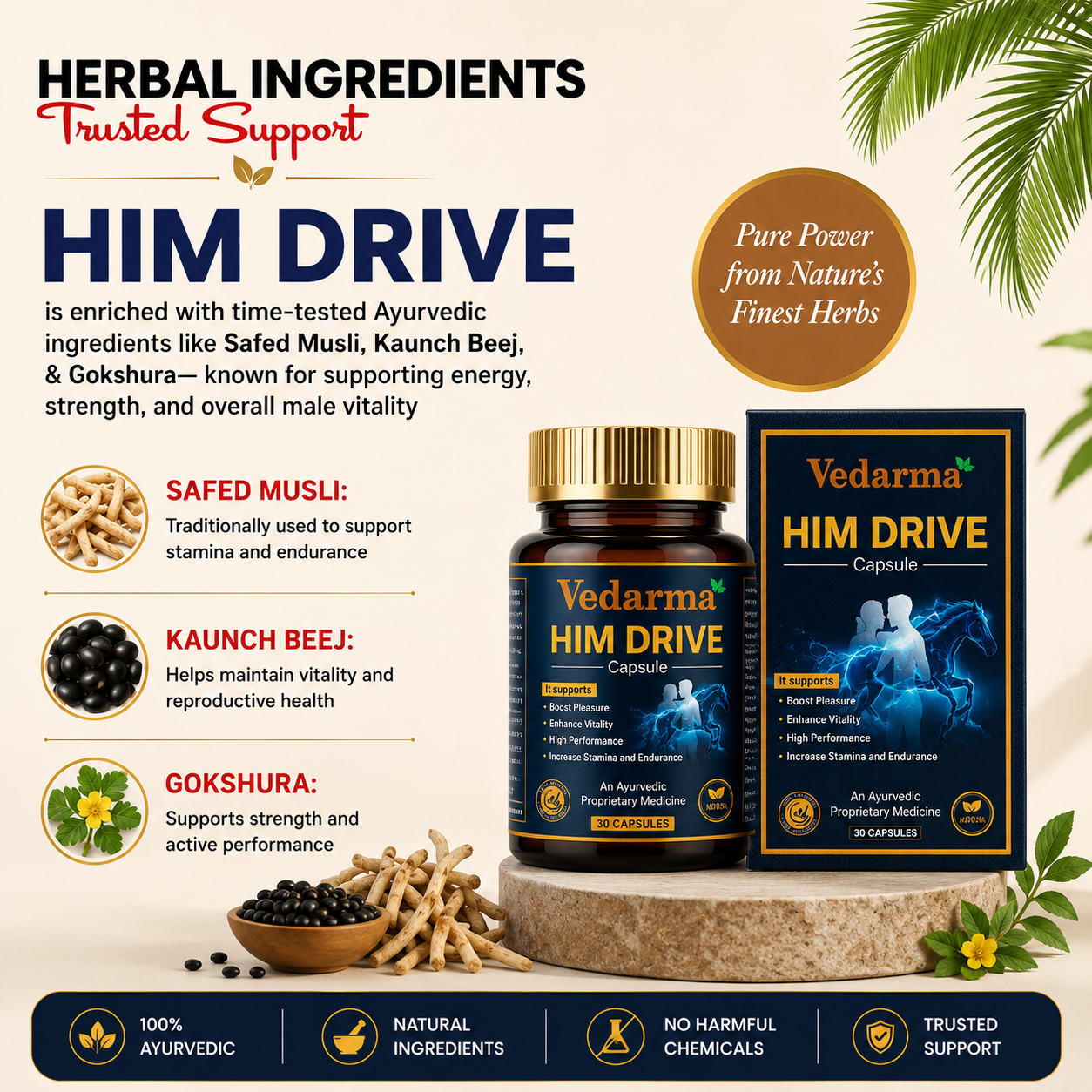 Him Drive Capsules for Men – Ayurvedic Wellness Formula to Enhance Vitality