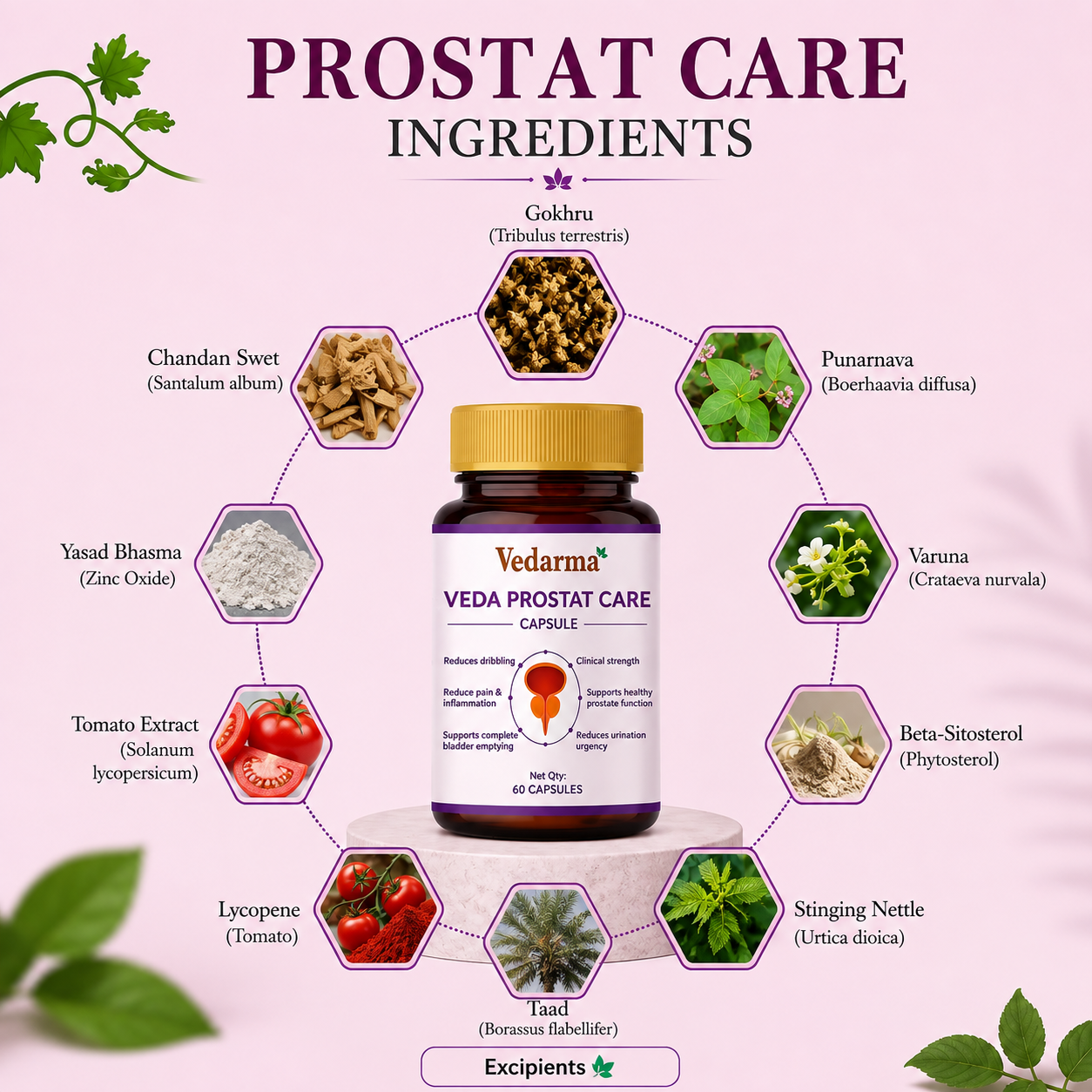Veda Prostat Care Capsule – Ayurvedic Medicine for Prostate