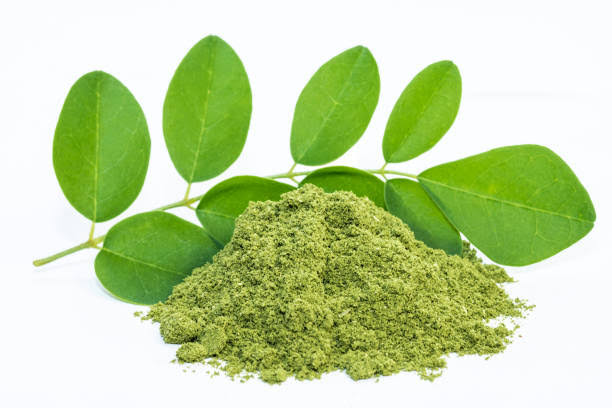 moringa-leaf-powder