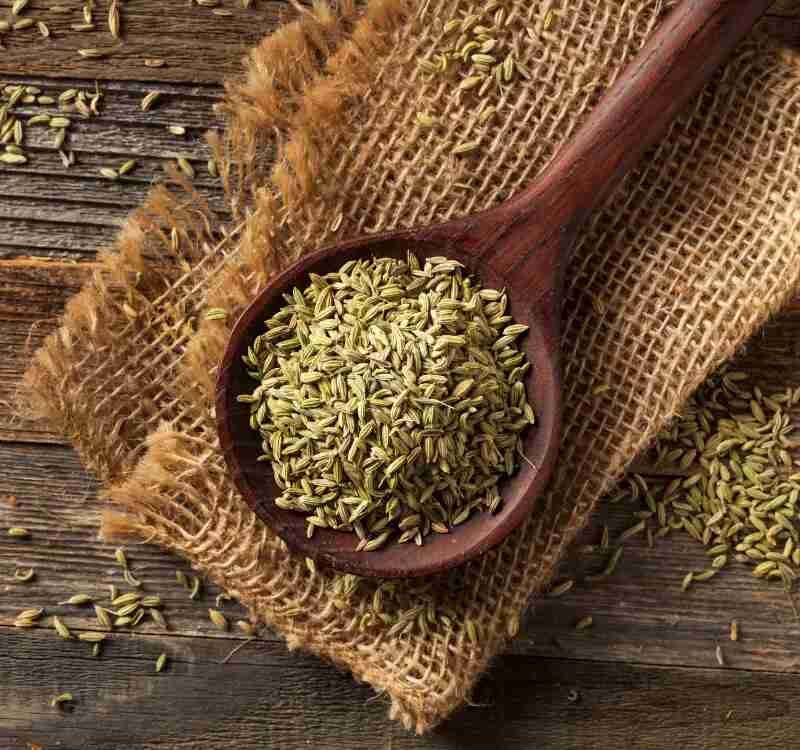 Fennel Seed