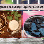 Ashwagandha And Shilajit