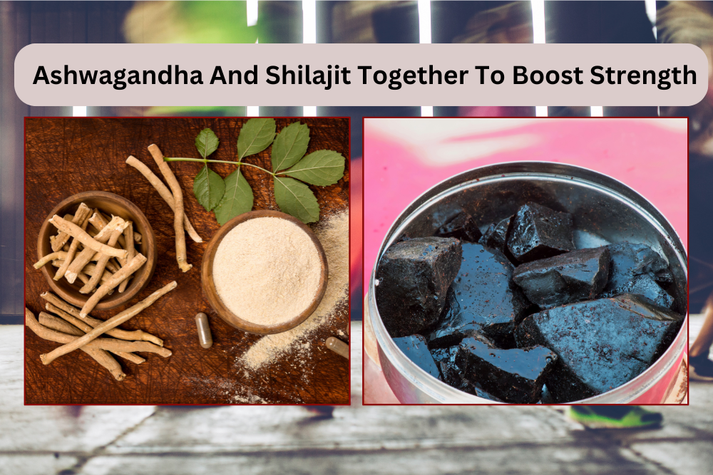 Ashwagandha And Shilajit